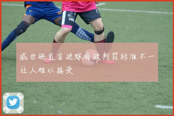 威尔逊直言进球有效判罚标准不一让人难以接受